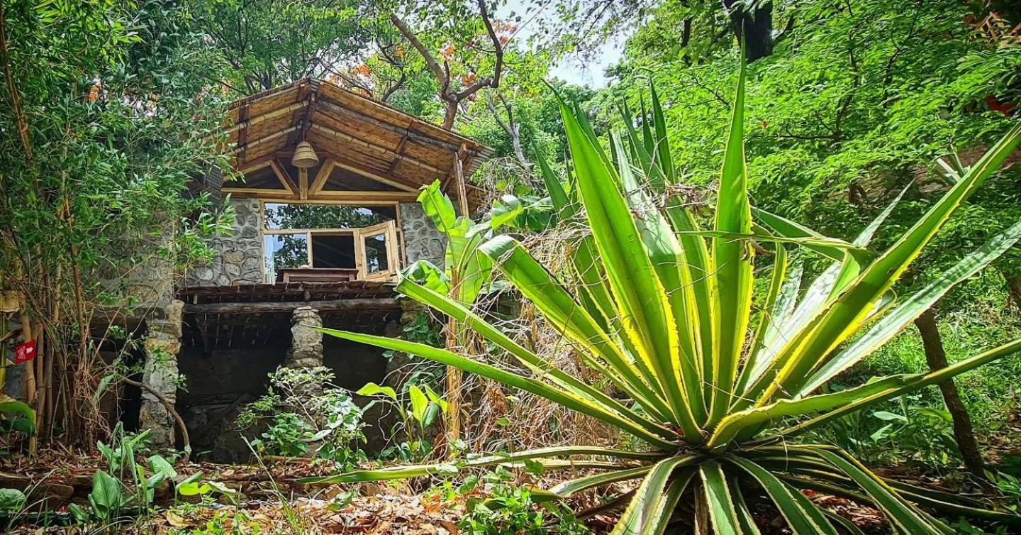Butterfly Space- A Non-Profit Eco-Lodge Nkhata Bay Экстерьер фото