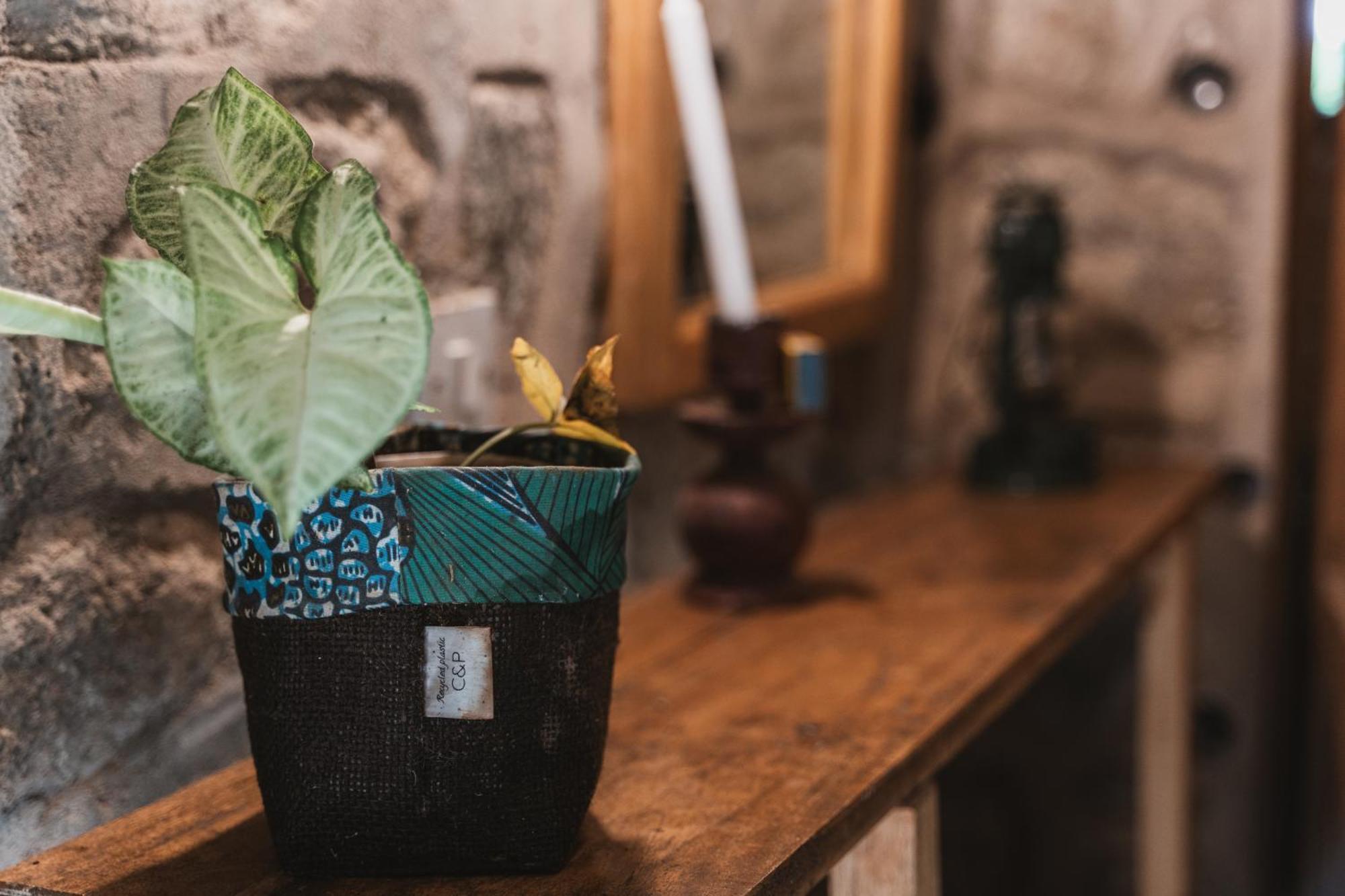 Butterfly Space- A Non-Profit Eco-Lodge Nkhata Bay Экстерьер фото