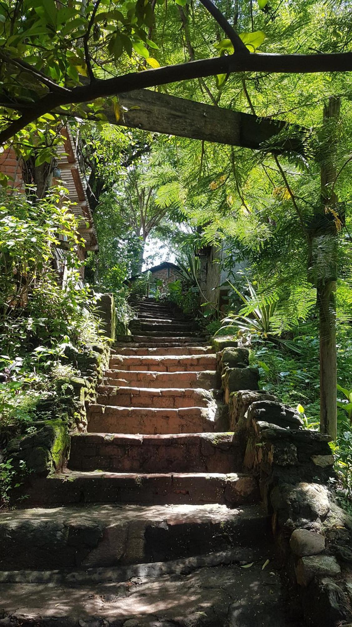 Butterfly Space- A Non-Profit Eco-Lodge Nkhata Bay Экстерьер фото