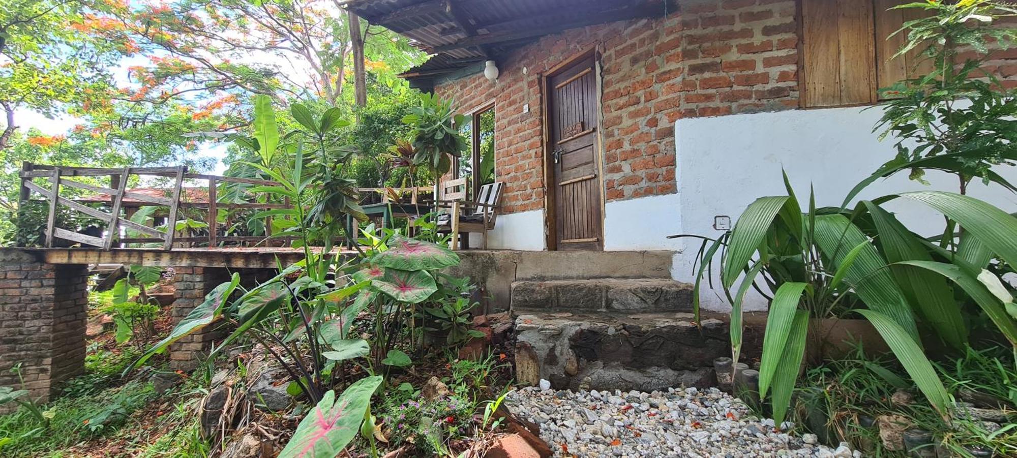 Butterfly Space- A Non-Profit Eco-Lodge Nkhata Bay Экстерьер фото