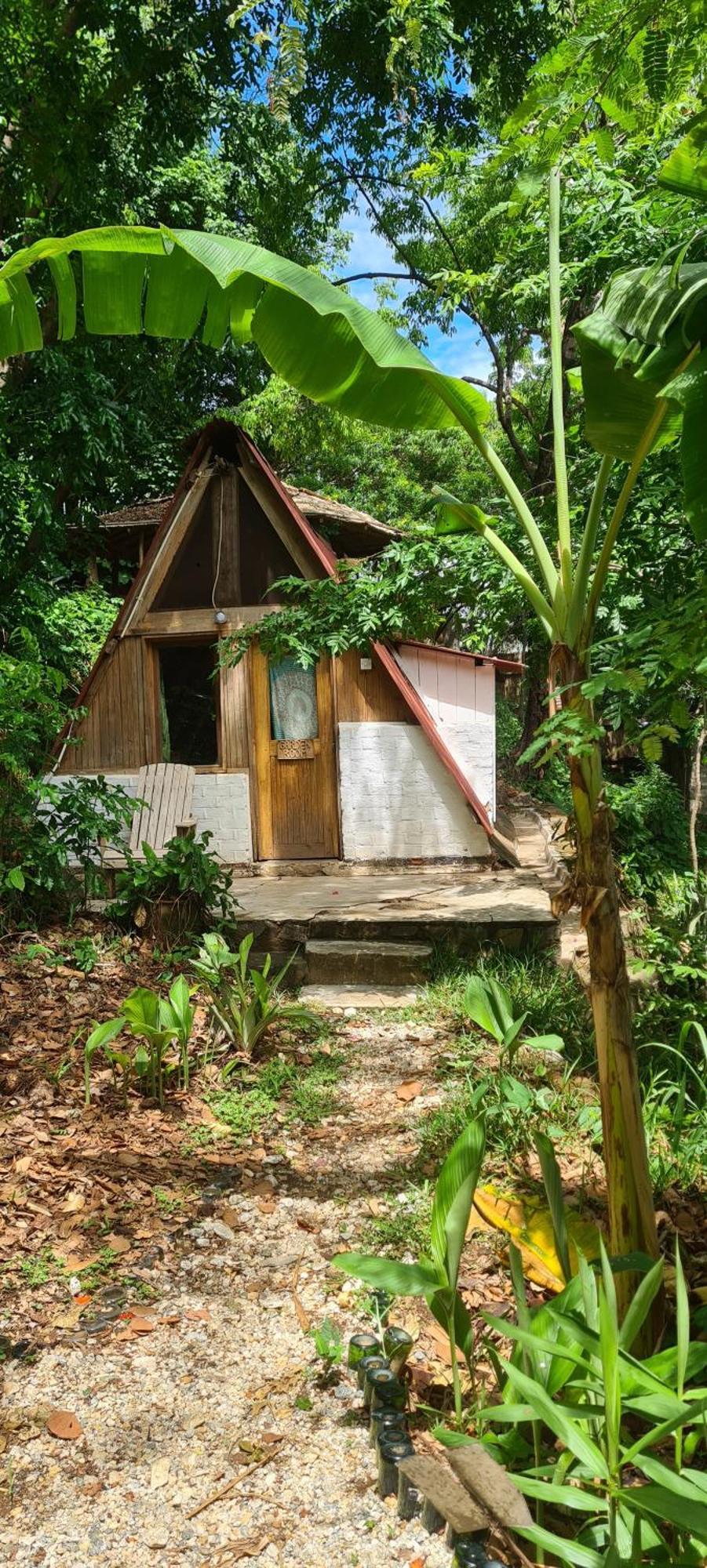 Butterfly Space- A Non-Profit Eco-Lodge Nkhata Bay Экстерьер фото